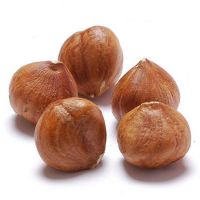 Organic Grade Raw Hazelnuts/Hazel Nuts