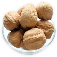 Premium Quality Whole Walnuts: Fresh - Nutrient
