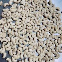 Cashew Nuts High Quality Cheap Price