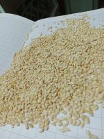 Cashew Nuts Roasted With Salt Good