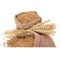 Wheat Bran For Animal Feed And
