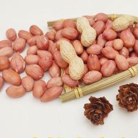 Buy High Selling Blanched Split Peanuts