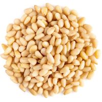 Organic Pine Nuts Roasted Dried Agriculture