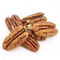 High Quality Fresh Pecan Nuts Organic