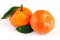 Wholesale Price For China's