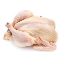 Halal Certified Frozen Chicken Frozen Whole