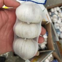 Garlic Wholesale Alho Supplier In China