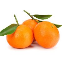 Fresh Citrus Baby Mandarin Orange Tangerin
