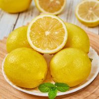 CHEAP Price HIGH QUALITY FRESH SEEDLESS