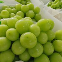 Best Quality New Fresh Green Grapes