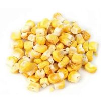 Organic Yellow Maize Corn GMO-Free