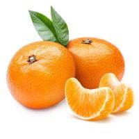 Fresh Orange Fruit Wholesale Fresh Orange Navel Orange Fresh Tangerine Organic Mandarin