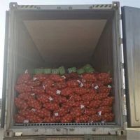 2024 New Crop Fresh Red Onions And Yellow Onion White Price Per Ton In China From Onion Seeds Exporter