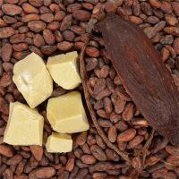 Organic Raw Cocoa Butter Raw Bulk