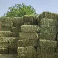 Order Alfalfa Hay In Bulk For
