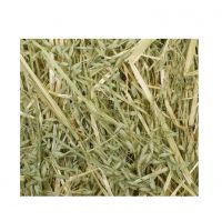 Top Quality Oat Hay Hay For