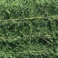 Quality Alfalfa Hay/ Timothy Hay And