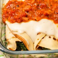 Top Quality Italian Vegan Bechamel Pasta