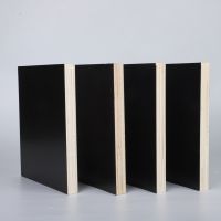 Hot Selling Eco-Friendly AA Grade