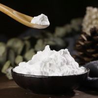 High Quality Food Grade 99% 25Kgs Sodium Bicarbonate Food Grade Baking Soda Powder
