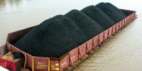 High Calorific Value Steam Coal Bulk