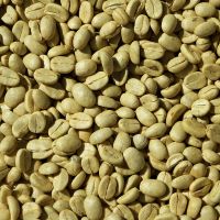 Top Selling Vietnam Green Coffee Beans