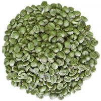 High Quality Robusta Green Coffee Bean