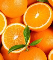 FRESH NAVEL Oranges And VALENCIA ORANGES