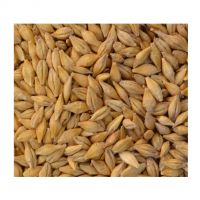 Wholesale Organic First Grade Animal Feed