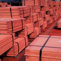 Cathode Copper Sheet Factory Price 99