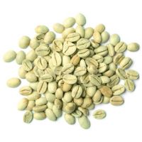 Top Selling Vietnam Green Coffee Beans
