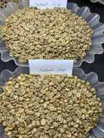 Top Selling Vietnam Green Coffee Beans
