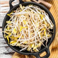 Fresh &amp; Healthy Bean Sprouts