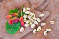 Why should we use Pistachionut