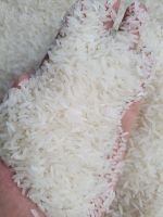 white 5451 rice