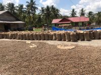 Raw Cashew Nuts