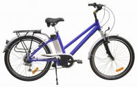 Li-battery e-bike (KTN-006)