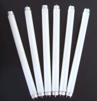Led fluorescent tube (T5/T8/T10)