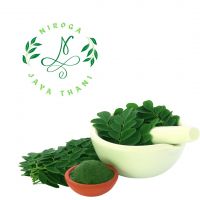 moringa extract powder