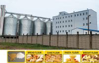 Multi-story Steel Structure Flour Milling