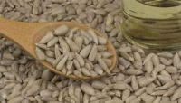 Peanuts, Melon Seeds, Canned Kernels, Chestnuts,Other Nuts/Kernels 