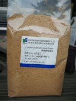 l-lysine sulphate 70%