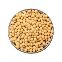 Top Grade Soybean seeds