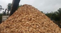 High Quality Wood Chips