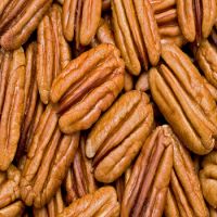 Bulk pecan nuts for export