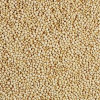 Quinoa seeds