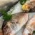 Brown Grouper/Fresh Grouper/Chilled Seafood