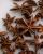 Best Star Anise