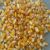 Yellow Maize