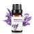 Lavender Essential Oil For Sale